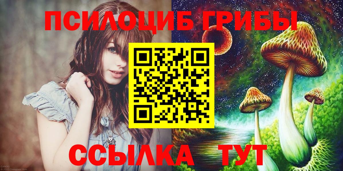 Калач-на-Дону  Галлюциногенные грибы Psilocybine cubensis  Вход с VPN  Галлюциногенные грибы GOLDEN TEACHER 